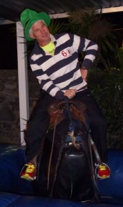 A cross bull